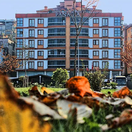 Ξενοδοχείο Panagia Τραμπζόν