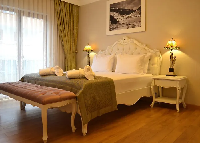 Panagia Hotel Trabzon